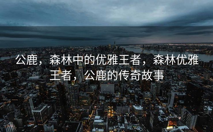 公鹿，森林中的优雅王者，森林优雅王者，公鹿的传奇故事