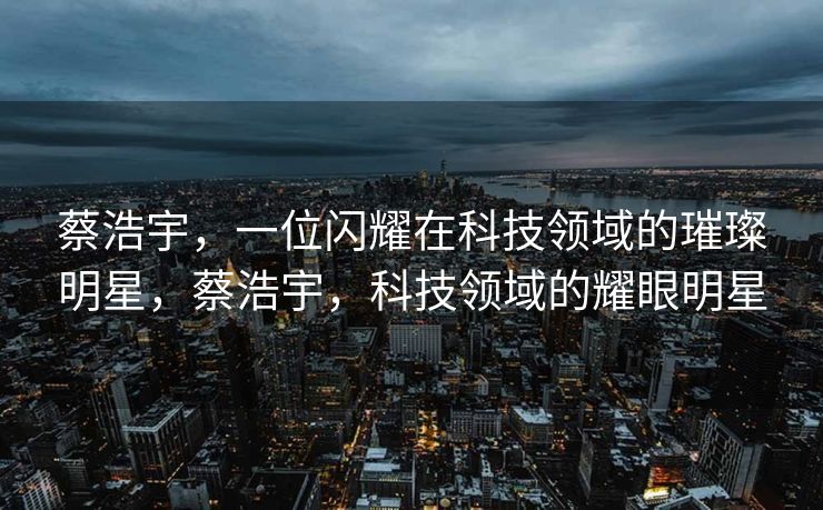 蔡浩宇，一位闪耀在科技领域的璀璨明星，蔡浩宇，科技领域的耀眼明星