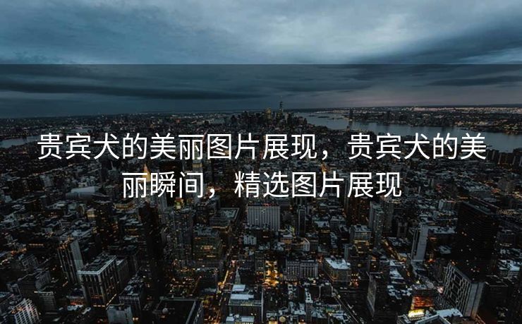 贵宾犬的美丽图片展现，贵宾犬的美丽瞬间，精选图片展现