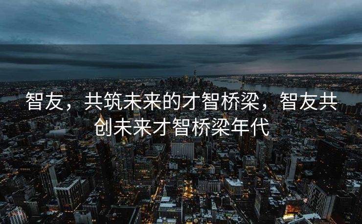 智友，共筑未来的才智桥梁，智友共创未来才智桥梁年代