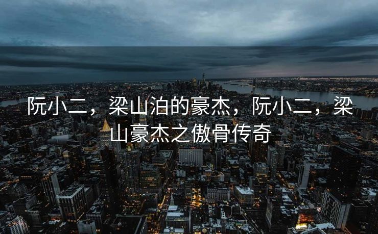 阮小二,梁山泊的豪杰,阮小二,梁山豪杰之傲骨传奇 阮小二,梁山泊的豪杰,阮小二,梁山豪杰之傲骨传奇