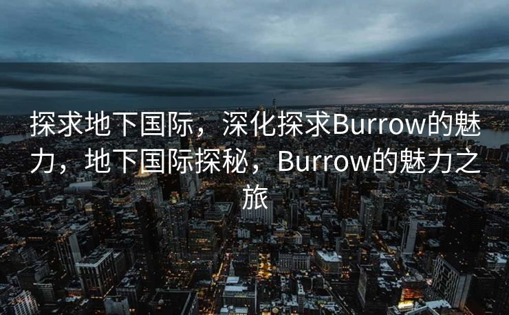 探求地下国际,深化探求Burrow的魅力,地下国际探秘,Burrow的魅力之旅 探求地下国际,深化探求Burrow的魅力,地下国际探秘,Burrow的魅力之旅