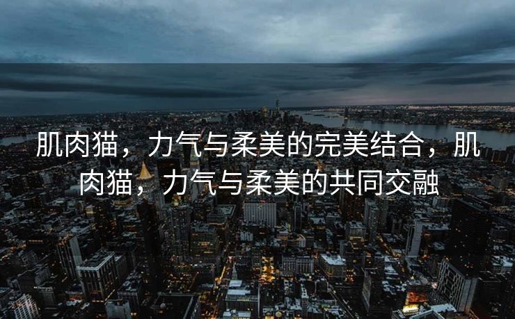 经过修正和补充，内容如下，