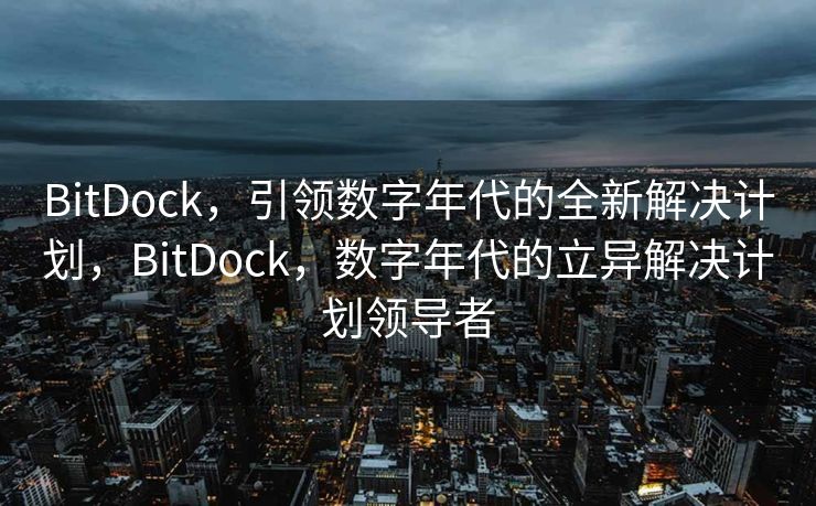 BitDock，引领数字年代的全新解决计划，BitDock，数字年代的立异解决计划领导者