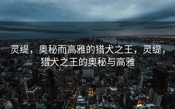 灵缇,奥秘而高雅的猎犬之王,灵缇,猎犬之王的奥秘与高雅 灵缇,奥秘而高雅的猎犬之王,灵缇,猎犬之王的奥秘与高雅