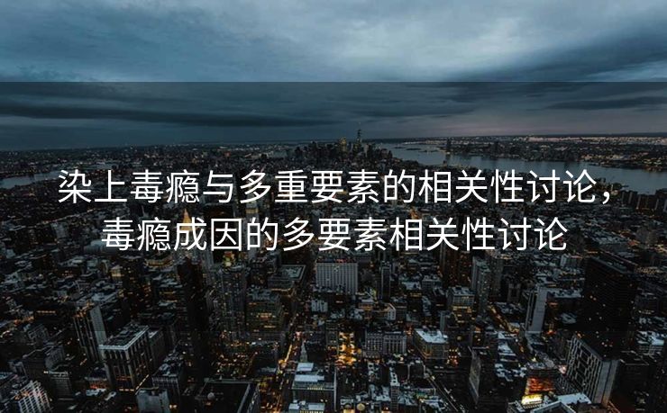 染上毒瘾与多重要素的相关性讨论，毒瘾成因的多要素相关性讨论
