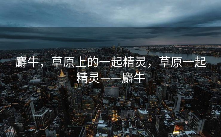 麝牛,草原上的一起精灵,草原一起精灵——麝牛 麝牛,草原上的一起精灵,草原一起精灵——麝牛