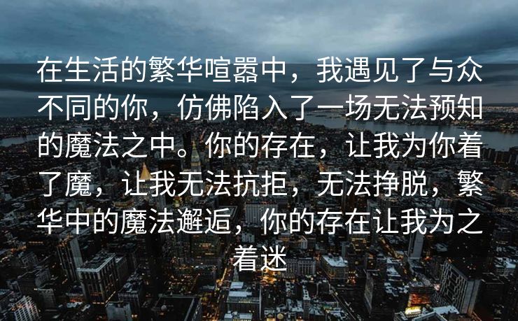 在生活的繁华喧嚣中，我遇见了与众不同的你，仿佛陷入了一场无法预知的魔法之中。你的存在，让我为你着了魔，让我无法抗拒，无法挣脱，繁华中的魔法邂逅，你的存在让我为之着迷