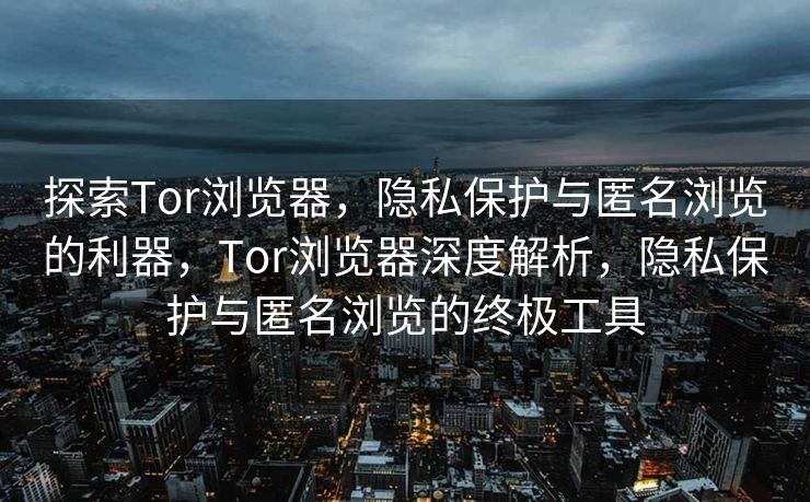 探索Tor浏览器,隐私保护与匿名浏览的利器,Tor浏览器深度解析,隐私保护与匿名浏览的终极工具 探索Tor浏览器,隐私保护与匿名浏览的利器,Tor浏览器深度解析,隐私保护与匿名浏览的终极工具