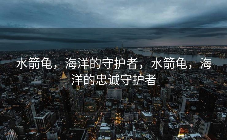 水箭龟，海洋的守护者，水箭龟，海洋的忠诚守护者