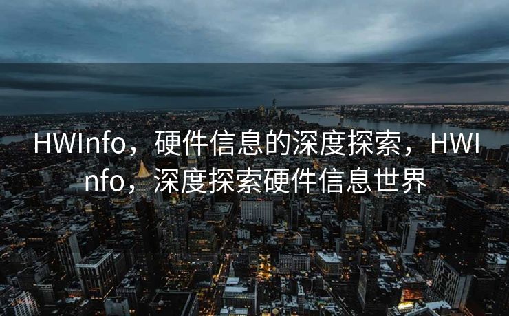 HWInfo，硬件信息的深度探索，HWInfo，深度探索硬件信息世界